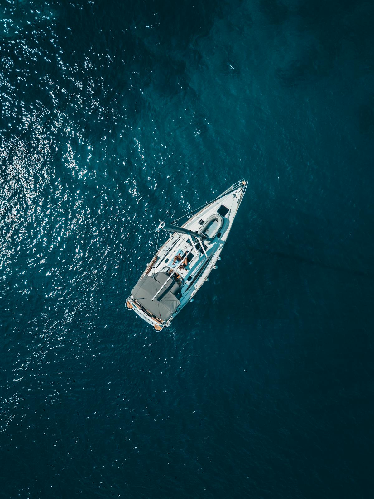 Snorkelers over coral reef